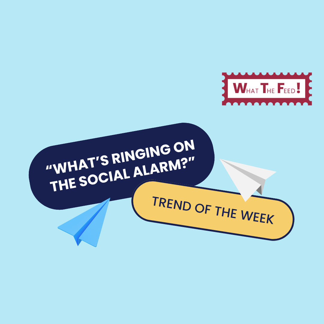 What The Feed: Paper Plane format