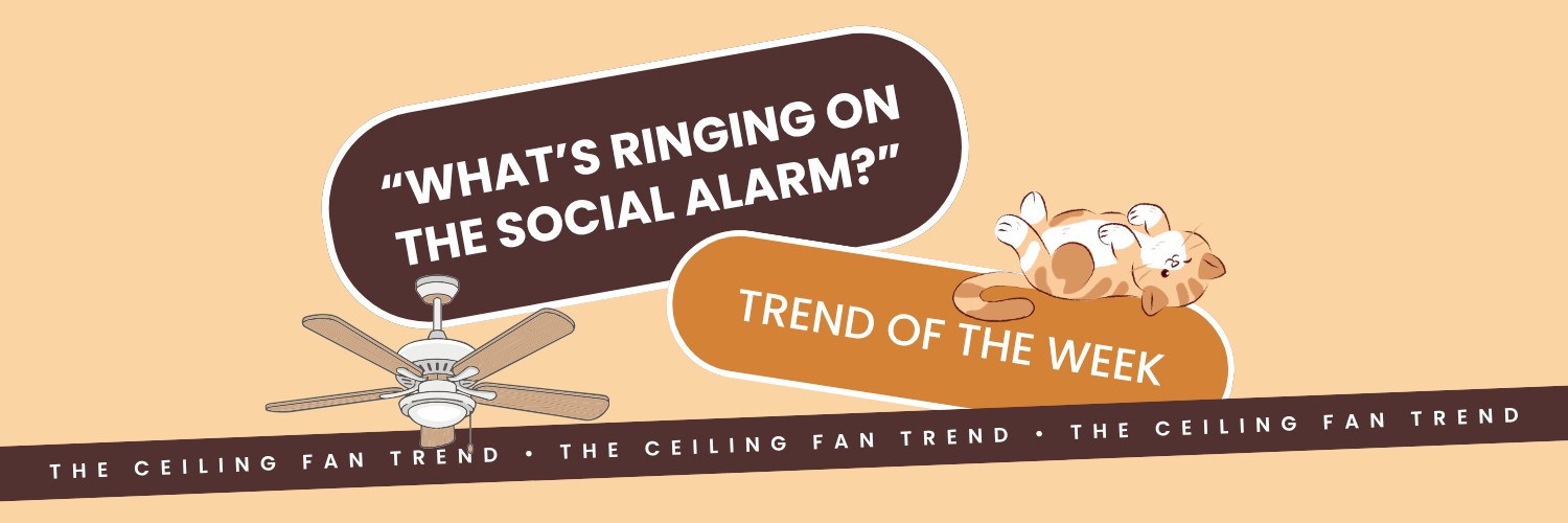 What The Feed: The Ceiling Fan Transition