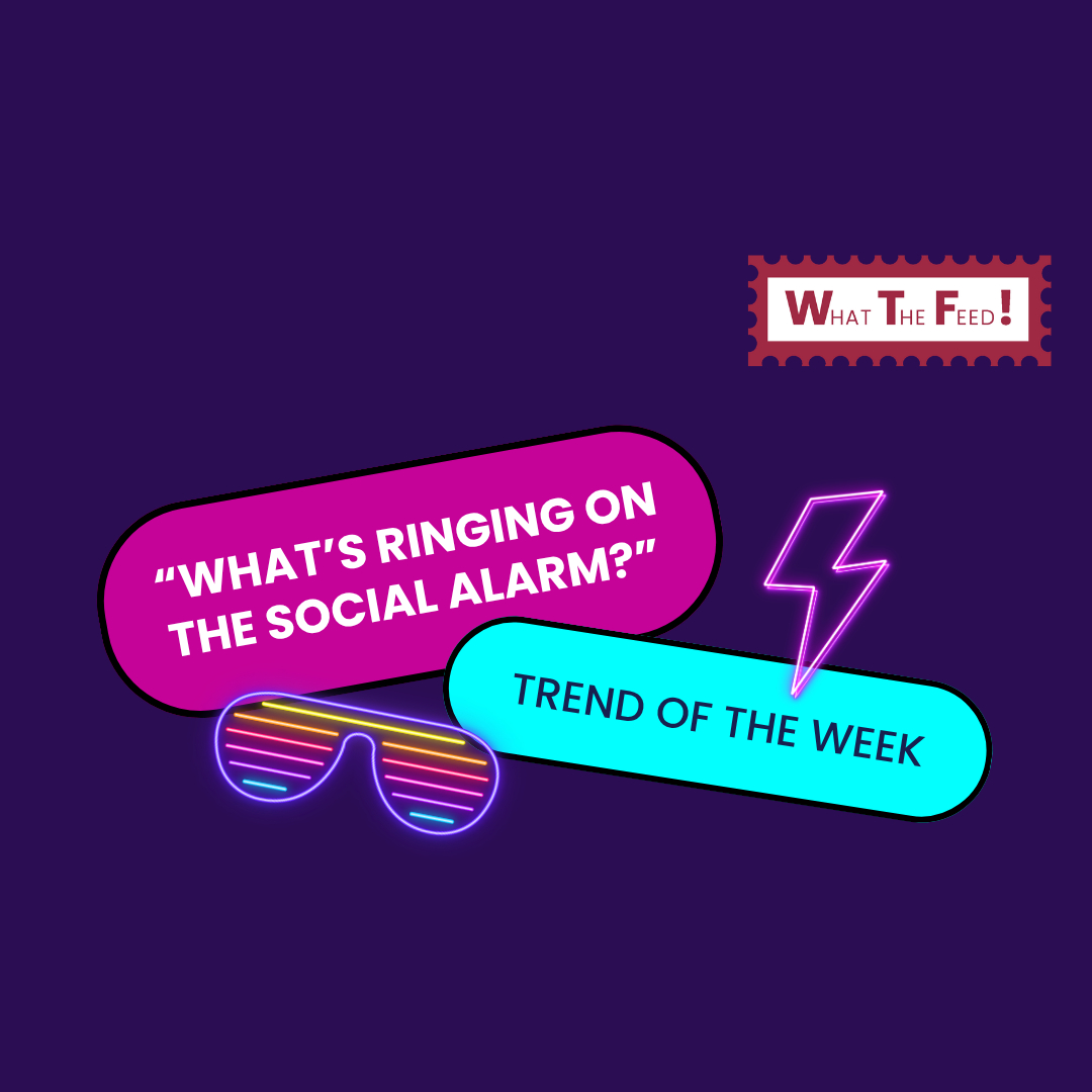 What The Feed: Bringing the 80s back to life