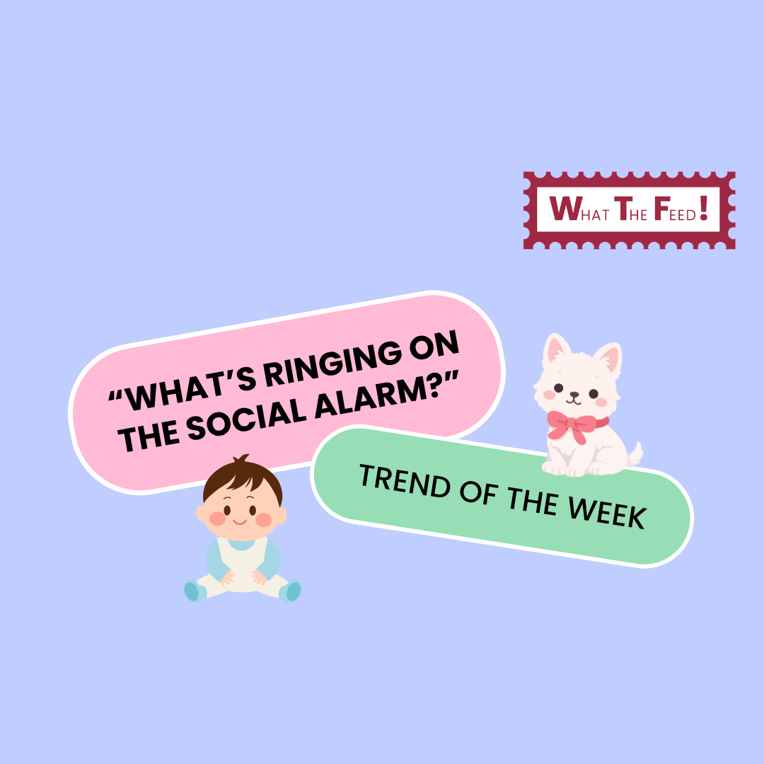 What The Feed: Today I Will Turn Into…