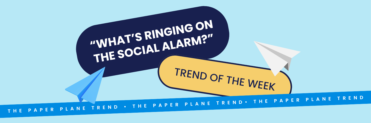 What The Feed: Paper Plane format