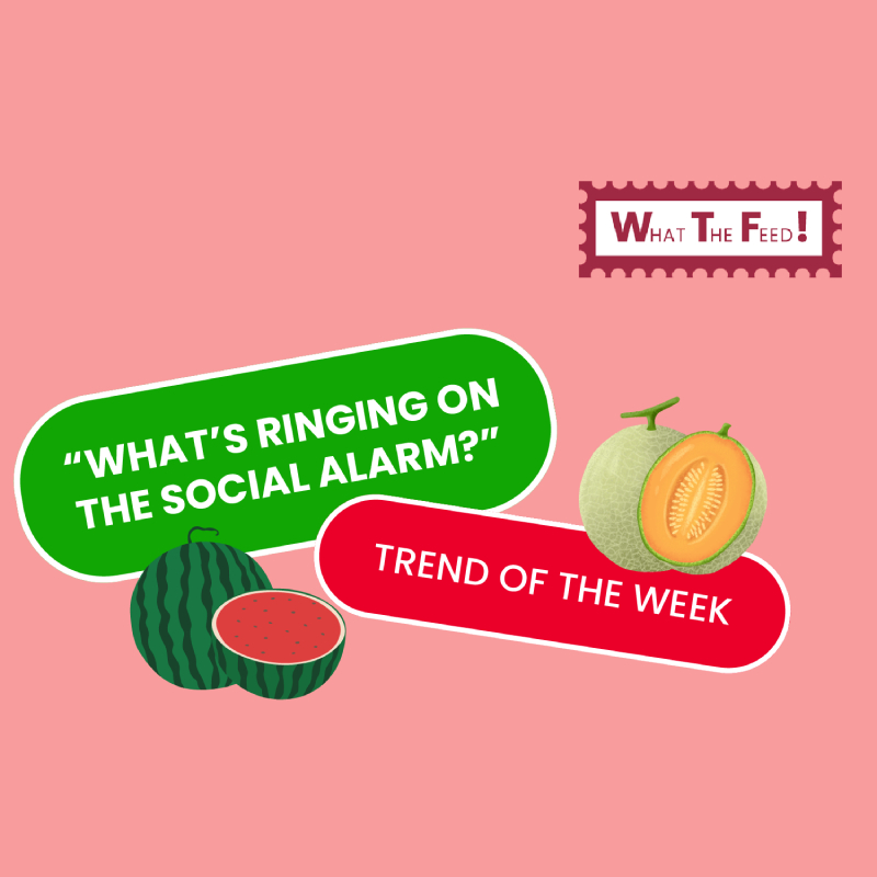 What The Feed:  Frozen Melon Sherbet