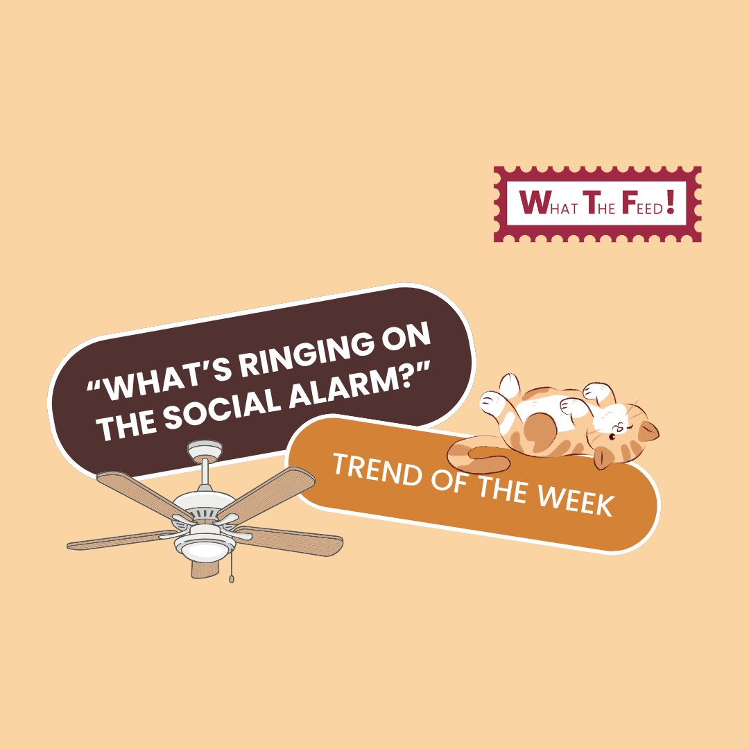 What The Feed: The Ceiling Fan Transition