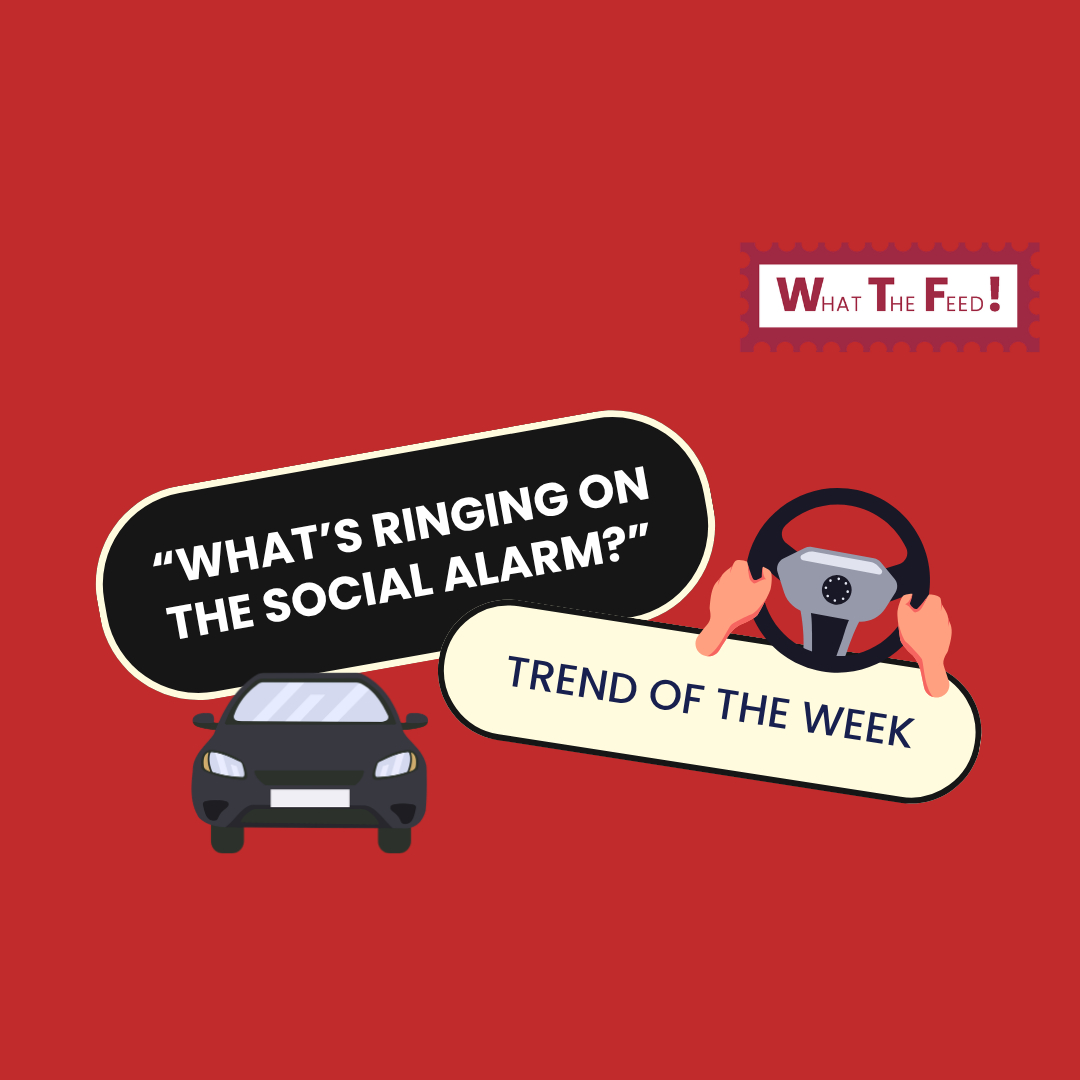 What The Feed: Driving Transitions