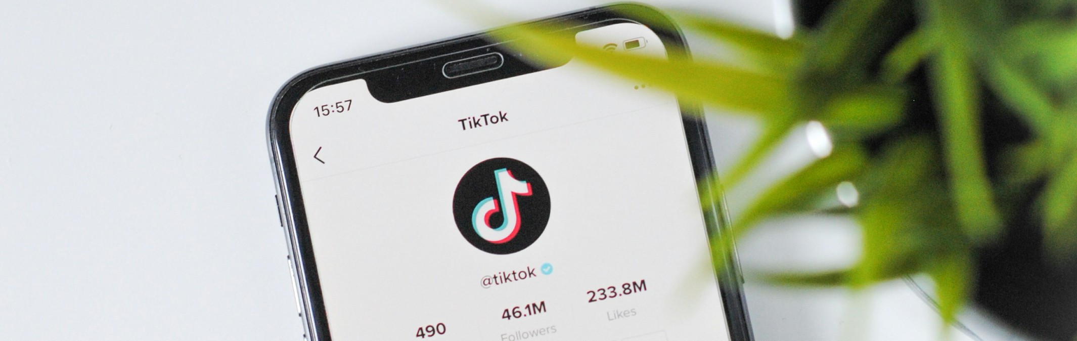 The Rise of #Deinfluencing — A TikTok Revolution